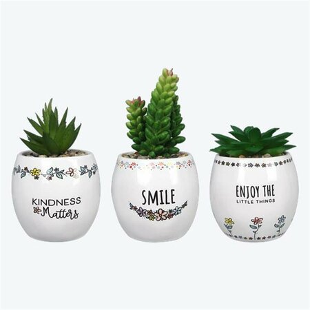YOUNGS Ceramic Multi Color Pots with Succulent - Small - 3 Piece 72481